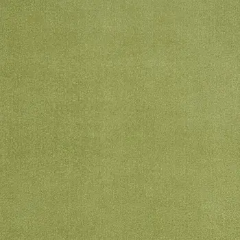 4' X 6' Green Indoor Outdoor Runner Rug