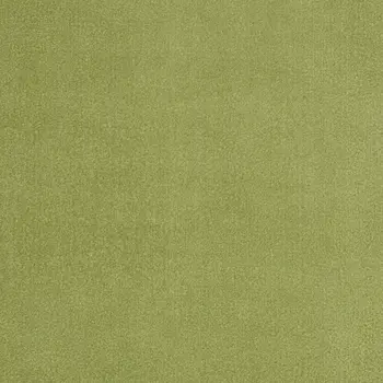 4' X 6' Green Indoor Outdoor Runner Rug