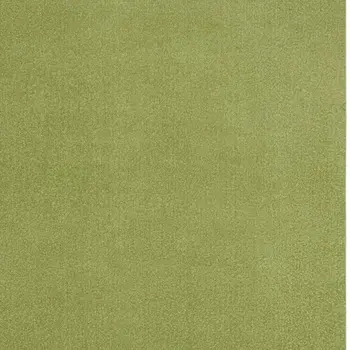 5' X 7' Green Indoor Outdoor Area Rug