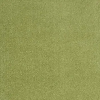 6' X 9' Green Indoor Outdoor Area Rug