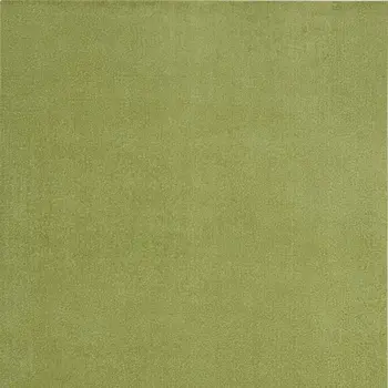 6' X 9' Green Indoor Outdoor Area Rug