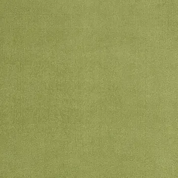 6' X 9' Green Indoor Outdoor Area Rug