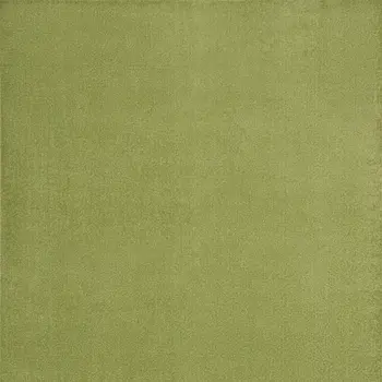 7' X 10' Green Indoor Outdoor Area Rug