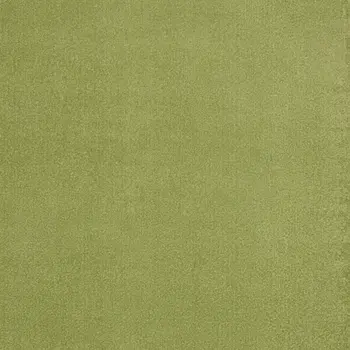 7' X 10' Green Indoor Outdoor Area Rug