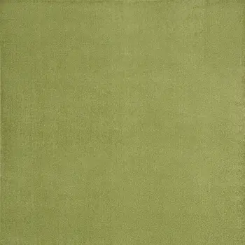 7' X 10' Green Indoor Outdoor Area Rug