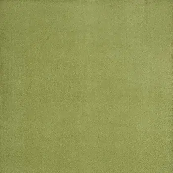 7' X 10' Green Indoor Outdoor Area Rug