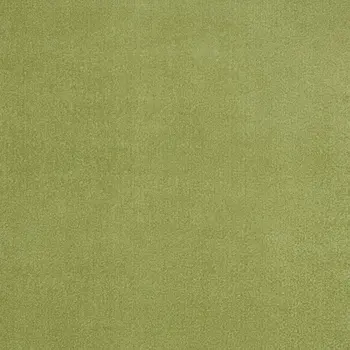 8' X 10' Green Indoor Outdoor Area Rug