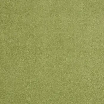 8' X 10' Green Indoor Outdoor Area Rug