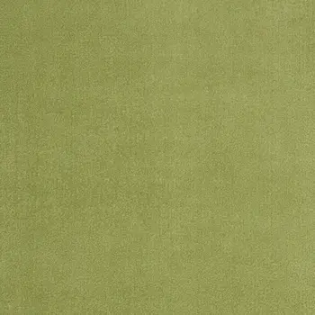 9' X 12' Green Indoor Outdoor Area Rug