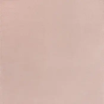 10' X 14' Pink Indoor Outdoor Area Rug