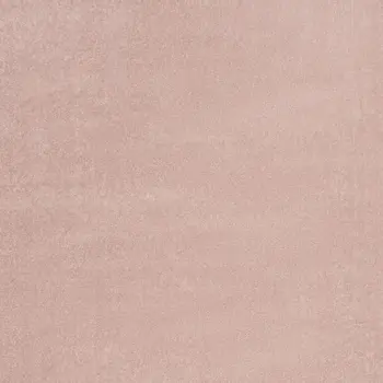 4' X 6' Pink Indoor Outdoor Area Rug