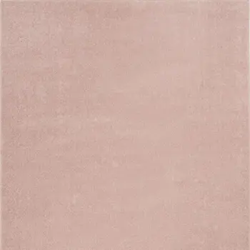 4' X 6' Pink Indoor Outdoor Area Rug