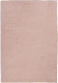 4' X 6' Pink Indoor Outdoor Area Rug