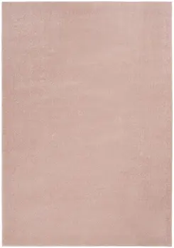 4' X 6' Pink Indoor Outdoor Area Rug