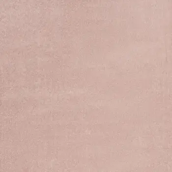 5' X 7' Pink Indoor Outdoor Area Rug