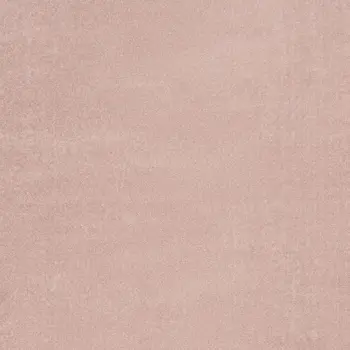 6' X 9' Pink Indoor Outdoor Area Rug