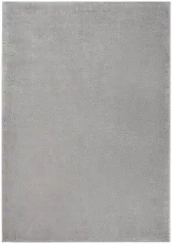 4' X 6' Gray Indoor Outdoor Area Rug