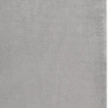 4' X 6' Gray Indoor Outdoor Area Rug