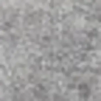4' X 6' Gray Indoor Outdoor Area Rug