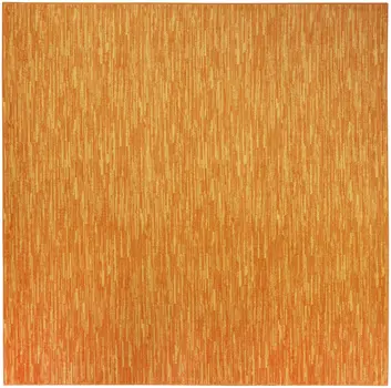 7' Orange Square Indoor Outdoor Area Rug