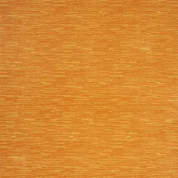 8' X 10' Orange Indoor Outdoor Area Rug