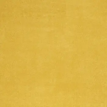4' X 6' Yellow Indoor Outdoor Area Rug