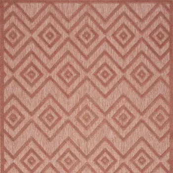 5' X 7' Coral Indoor Outdoor Area Rug