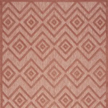6' X 9' Coral Indoor Outdoor Area Rug