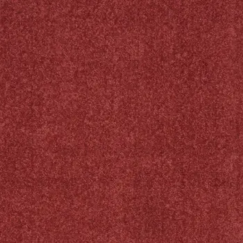 2' X 4' Brick Red Indoor Outdoor Runner Rug