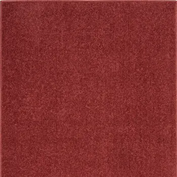 2' X 4' Brick Red Indoor Outdoor Runner Rug