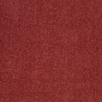 2' X 4' Brick Red Indoor Outdoor Runner Rug
