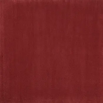 5' X 5' Brick Red Square Indoor Outdoor Area Rug