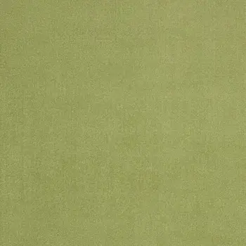 5' X 5' Green Square Indoor Outdoor Area Rug