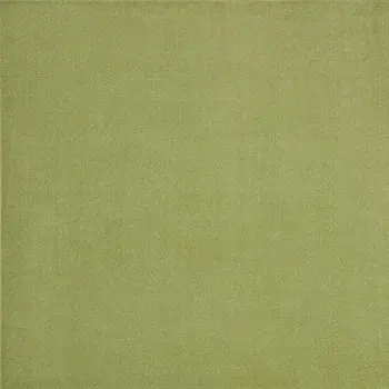 5' X 5' Green Square Indoor Outdoor Area Rug