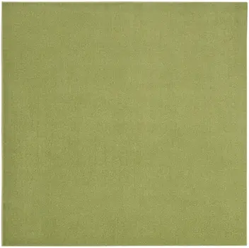 5' X 5' Green Square Indoor Outdoor Area Rug