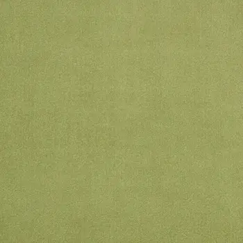 5' X 5' Green Square Indoor Outdoor Area Rug