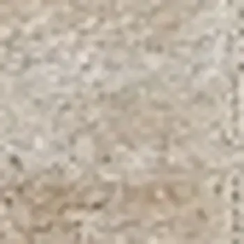 3' X 5' Beige And Ivory Indoor Outdoor Area Rug