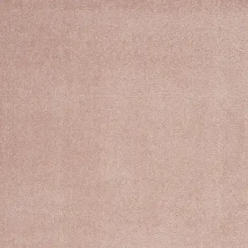3' X 5' Pink Indoor Outdoor Area Rug