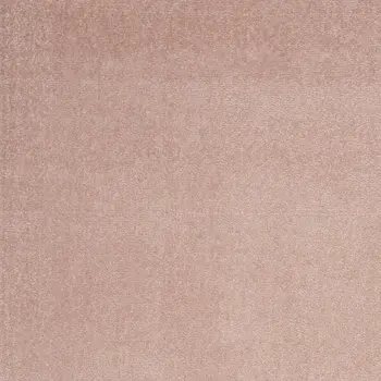 3' X 5' Pink Indoor Outdoor Area Rug