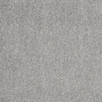 2' X 4' Gray Indoor Outdoor Area Rug