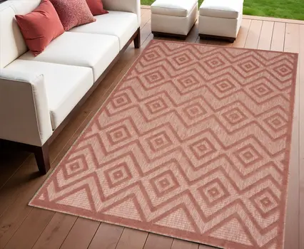 4' X 6' Coral Indoor Outdoor Area Rug