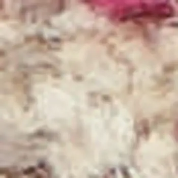 2' X 4' Ivory And Pink Abstract Power Loom Non Skid Area Rug