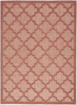 4' X 6' Coral Indoor Outdoor Area Rug