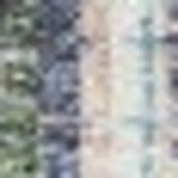 5' X 8' Purple Ombre Tufted Handmade Area Rug