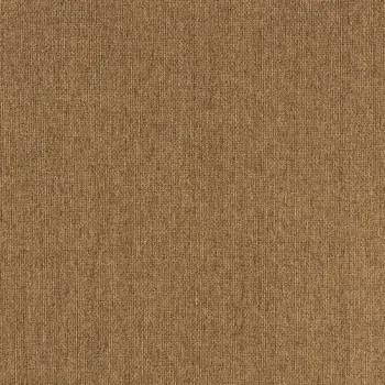 Tan Stain Resistant Indoor Outdoor Area Rug
