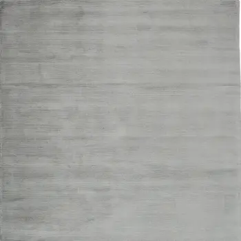 4' X 6' Gray Hand Woven Area Rug