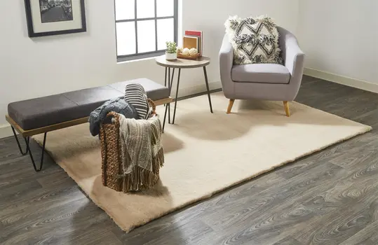 2' X 3' Tan Shag Area Rug