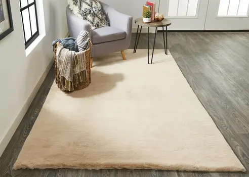 2' X 3' Tan Shag Area Rug