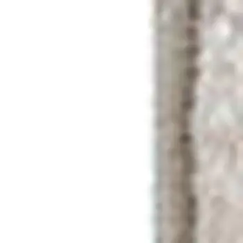 8' X 10' Beige Botanical Area Rug