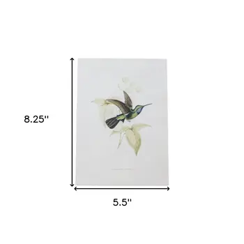 Set of Four White Hummingbird Framed Art